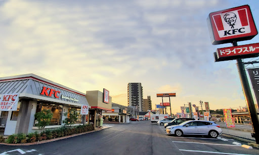 国道248号線沿いに外食の選択肢が多い（KFC、吉野家、かつや、びっくりドンキー、サーティワン、やよい軒）