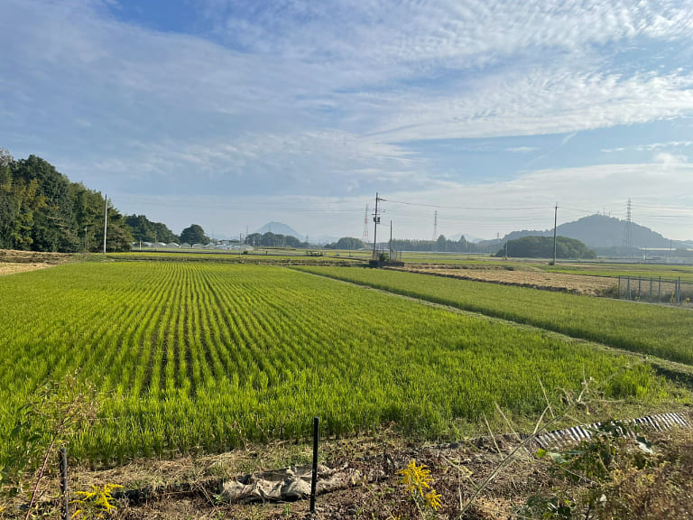 滋賀県は田舎で自然が豊か