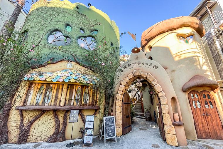 吉祥寺プティット村「Cat Cafe てまりのおしろ」